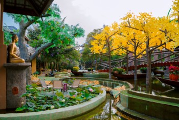 Dịch Vụ Lưu Trú Tại Tĩnh Lạc Viên