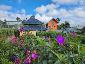 Ẩm Thực Tĩnh Lạc Viên